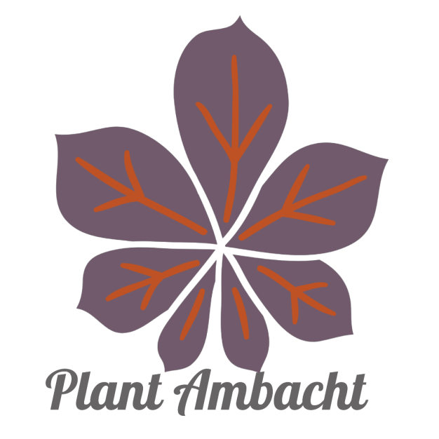 Plant Ambacht Plant Ambacht